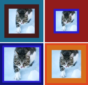 An image of cats with different kinds of borders. Double borders with multiple colors are shown. Big borders and thin borders are shown around the four pictures.