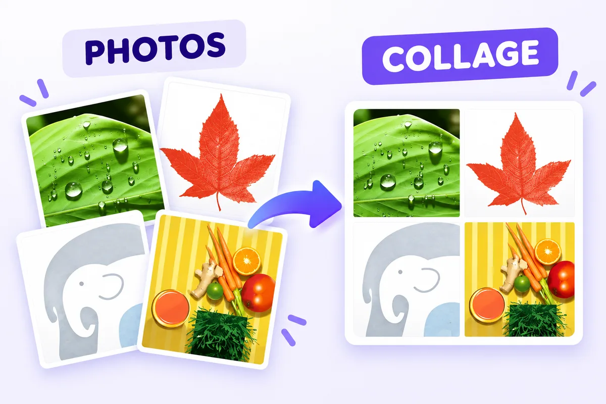 Four separate photos become one neatly arranged image collage.