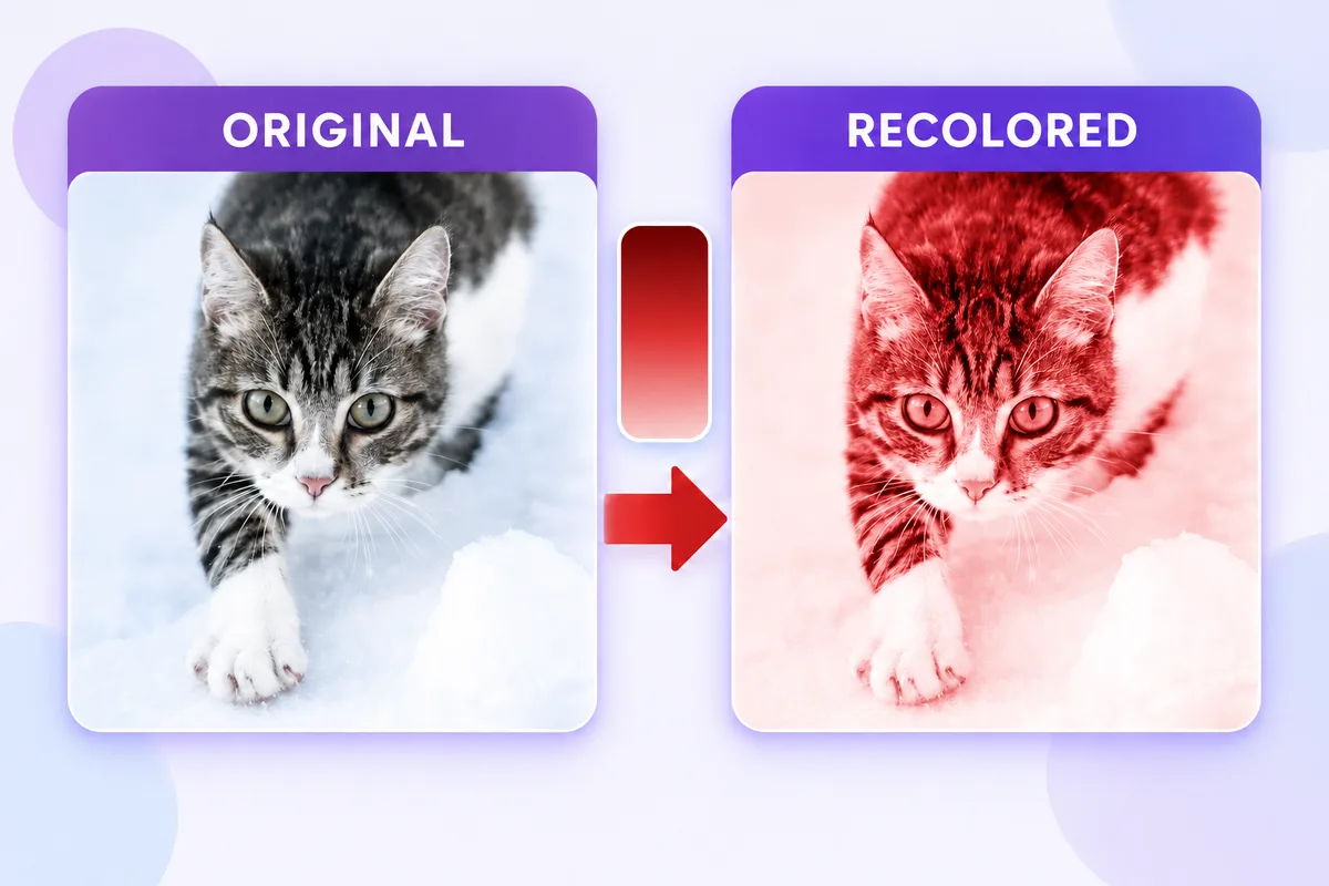 A grayscale cat image is mapped into shades of a single red color.